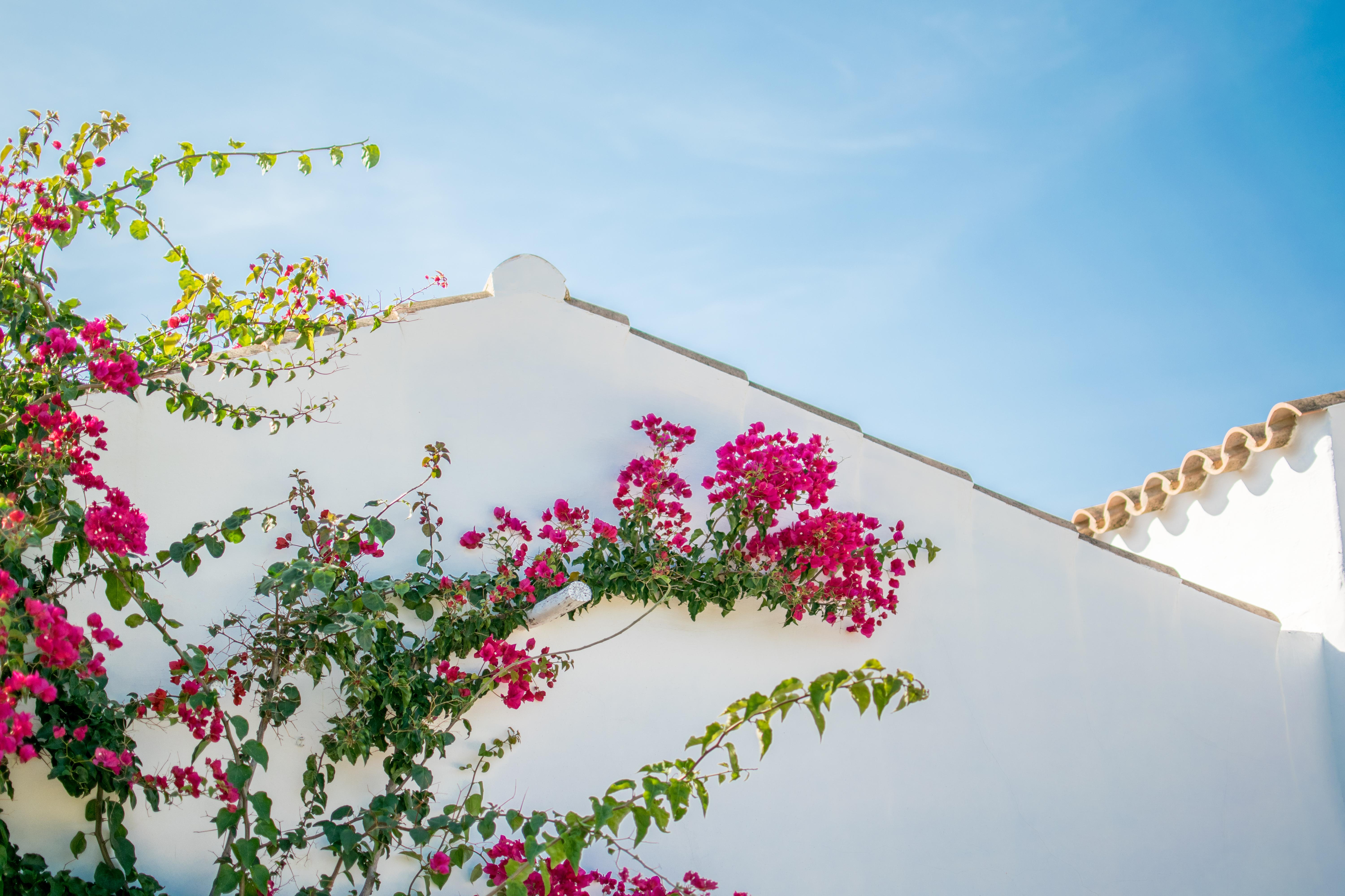 Torralbenc, A Small Luxury Hotel Of The World Cala En Porter  Esterno foto