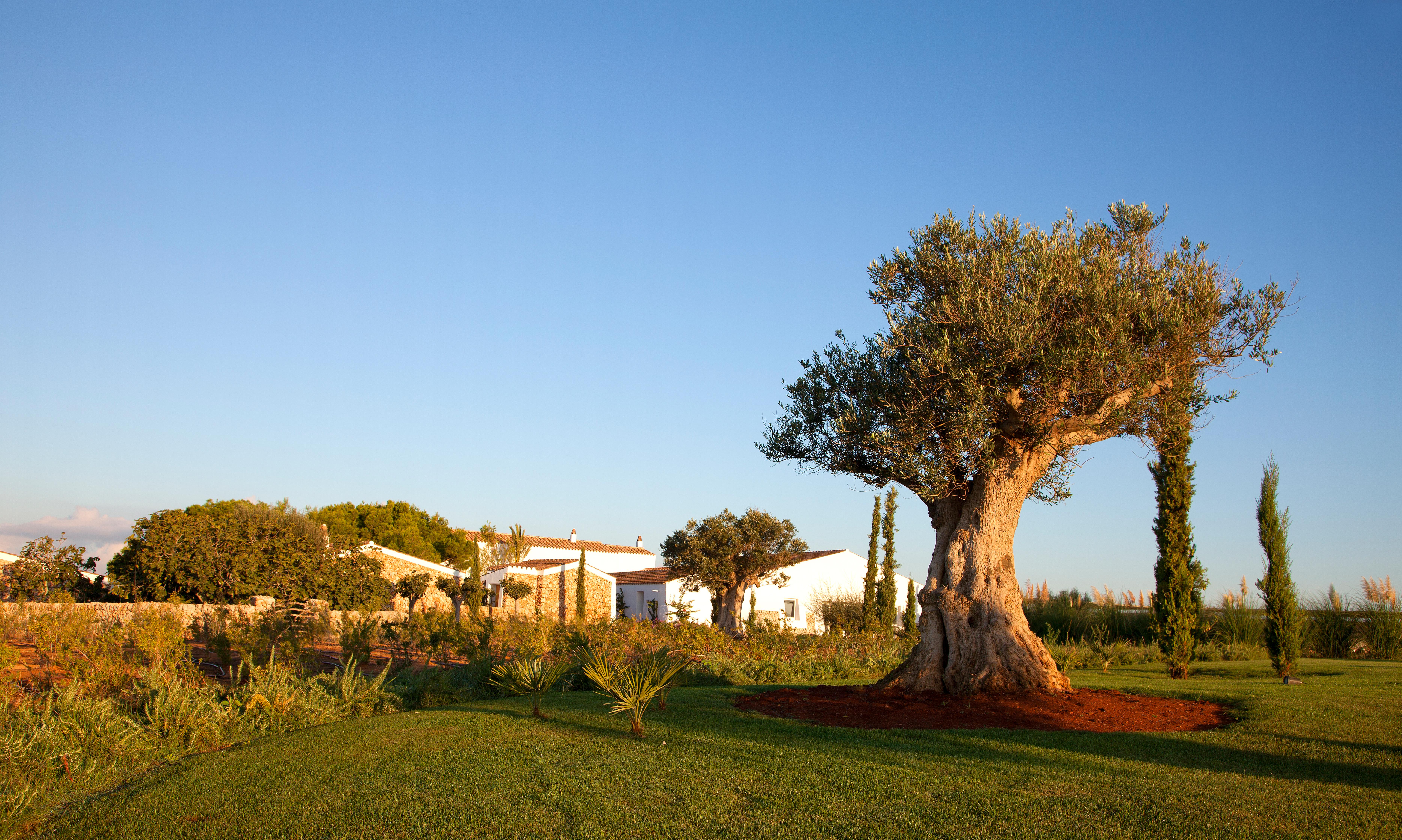 Torralbenc, A Small Luxury Hotel Of The World Cala En Porter  Esterno foto